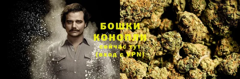 Бошки Шишки Ganja  Котово 